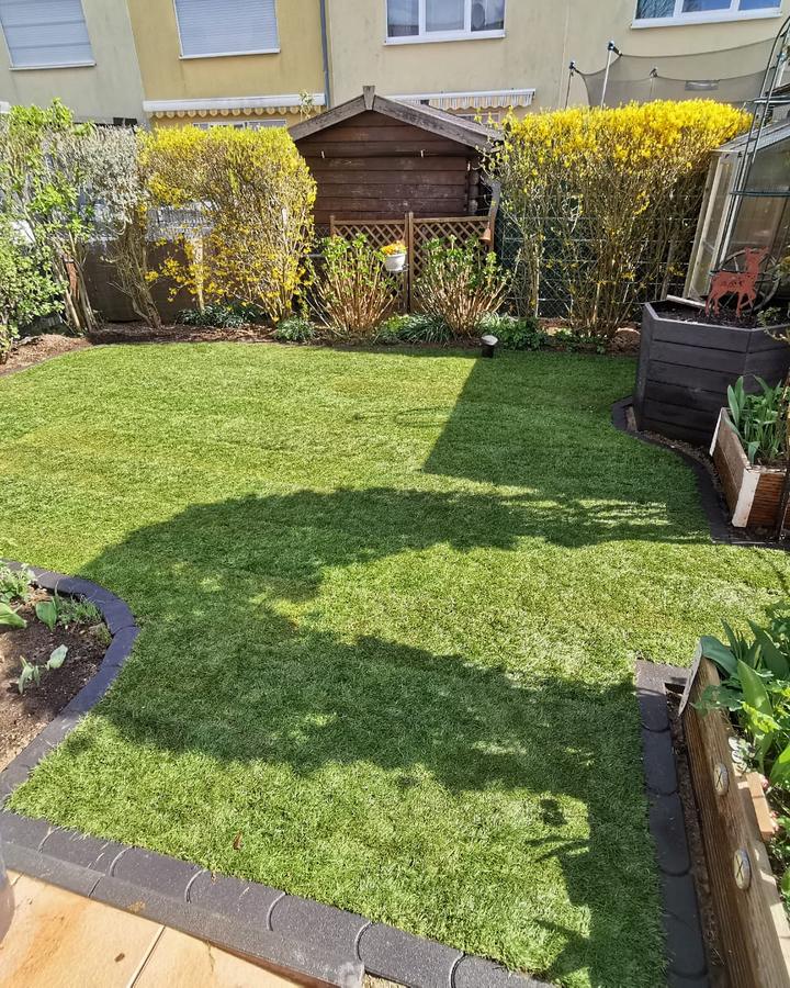 Fertiger Reihenhausgarten in Wesseling mit neu verlegtem Rollrasen und eingefassten Beeten