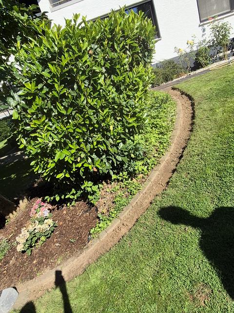Geschwungene Beeteinfassung aus Pflastersteinen entlang einer Kirschlorbeerhecke