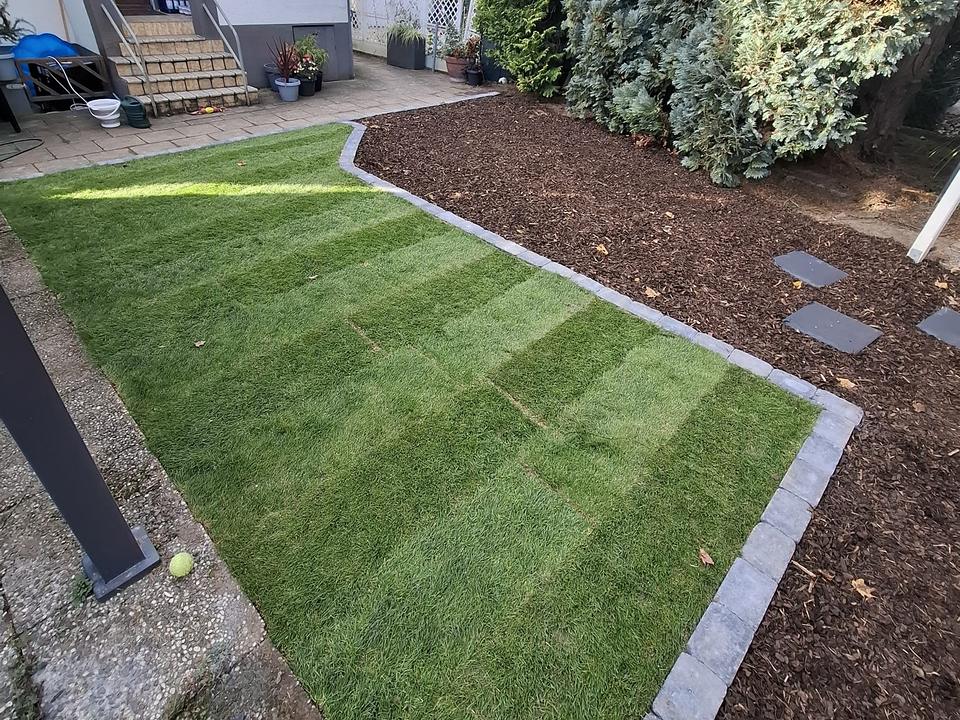 Rollrasen mit Pflasterkante und Rindenmulchbeet in einem Kölner Stadtgarten