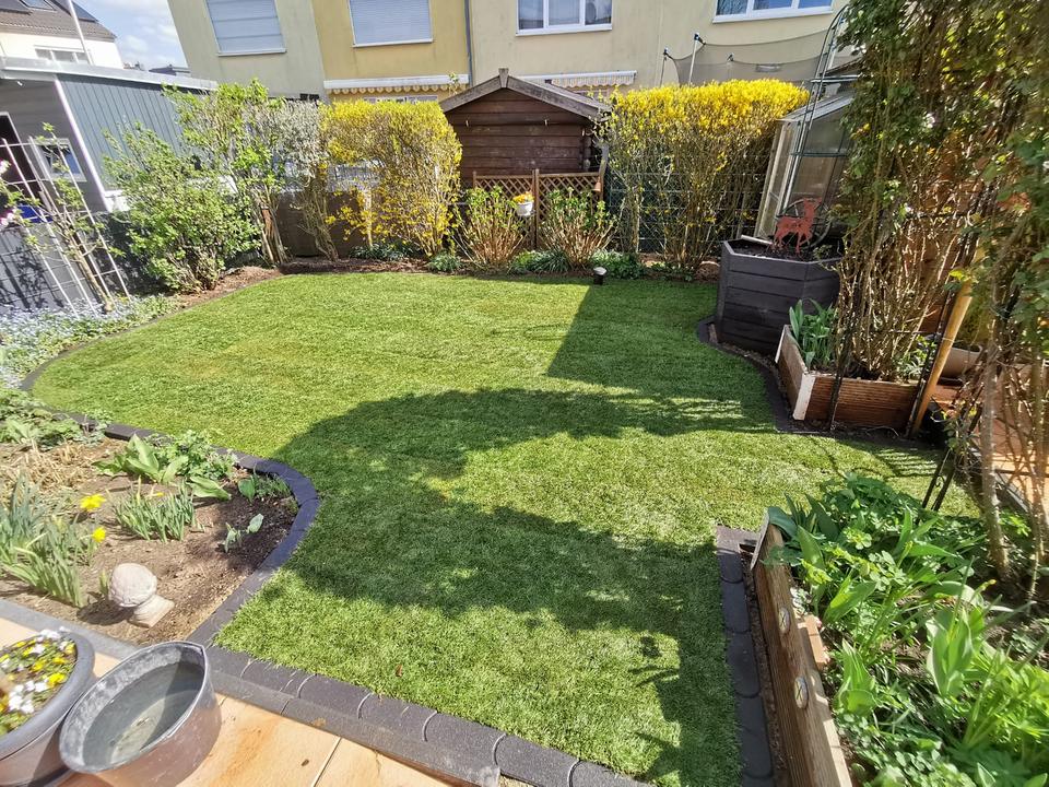 Reihenhausgarten in Wesseling mit neuem Rasen und eingefassten Beeten