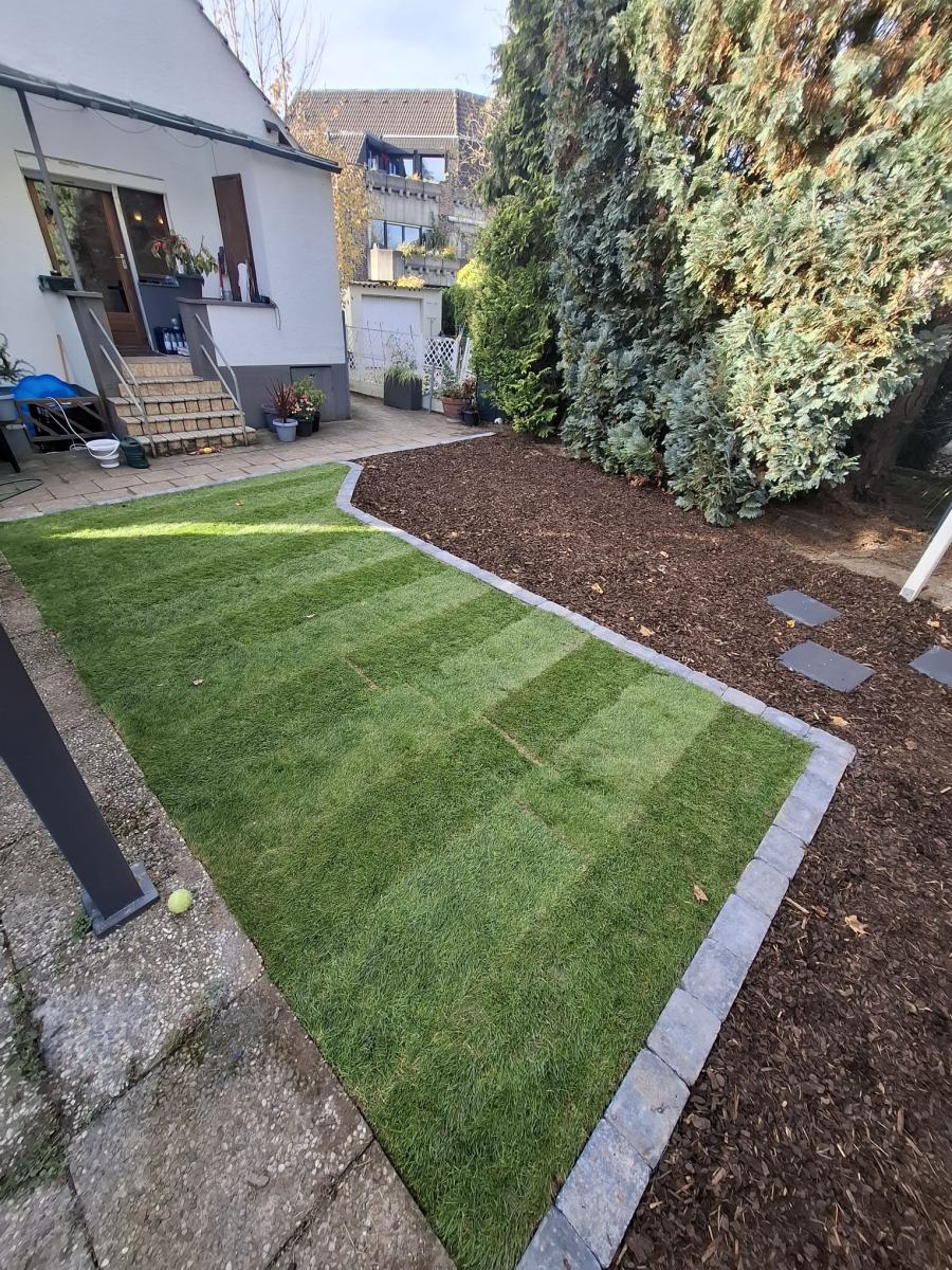 Frisch verlegter Rollrasen mit Pflasterkante vor dem Haus in Köln, daneben Beet mit Rindenmulch